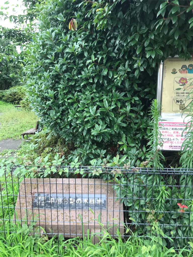 f:id:fp-kakeharu:20210708111312j:image