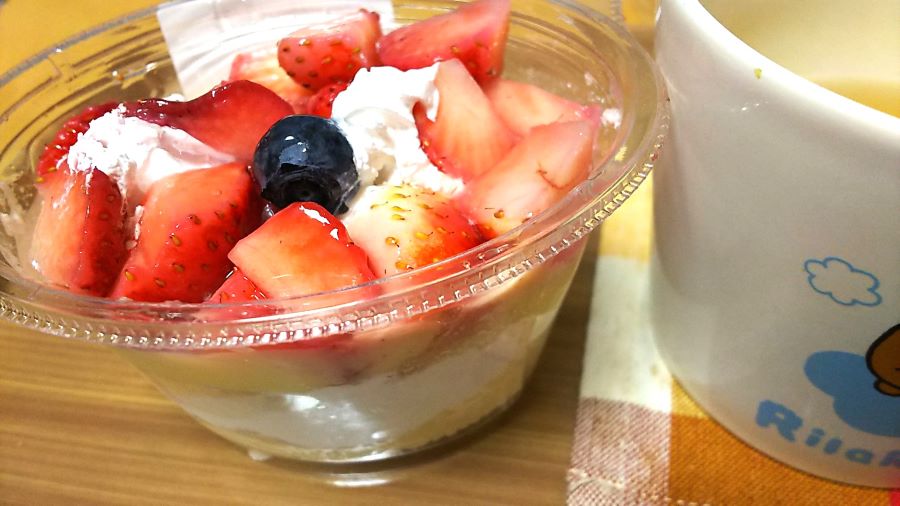 f:id:fp-maruko:20210110215913j:plain