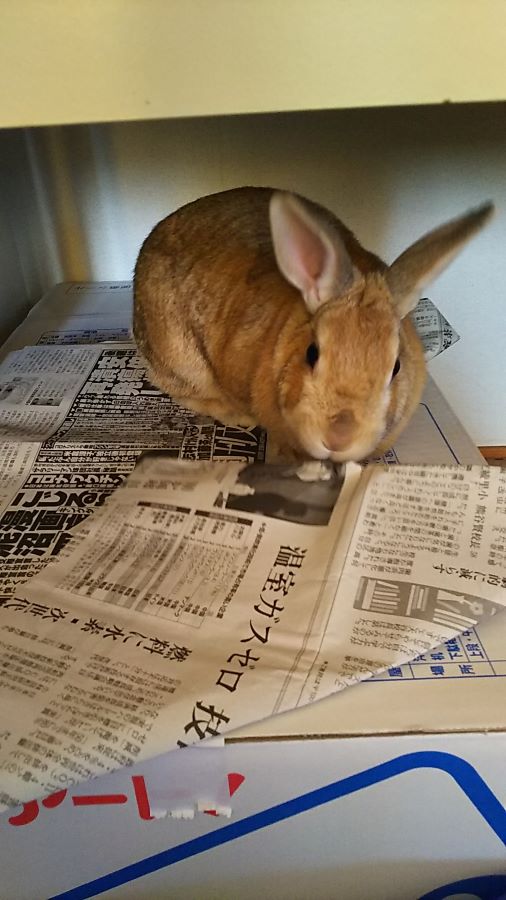 f:id:fp-maruko:20210127165459j:plain