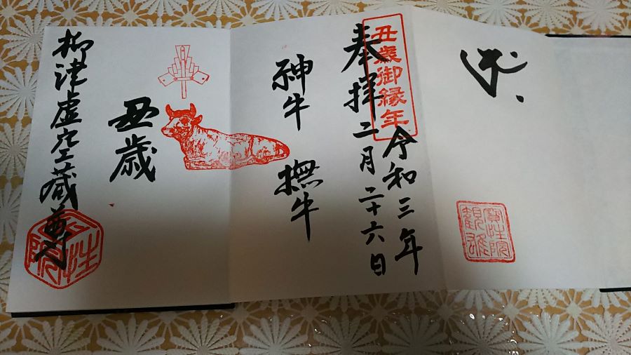 f:id:fp-maruko:20210226230200j:plain