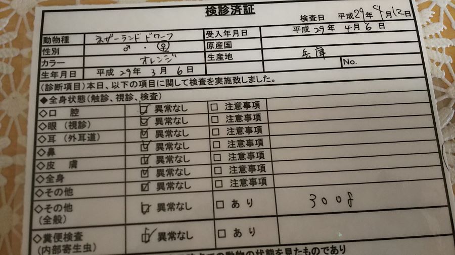 f:id:fp-maruko:20210307125507j:plain