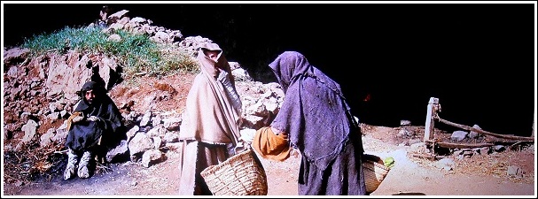 f:id:fpd:20210405163737j:plain