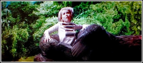 f:id:fpd:20210429102302j:plain