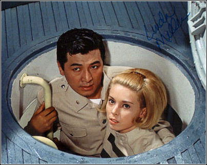 f:id:fpd:20210429103127j:plain