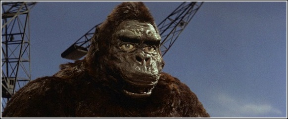 f:id:fpd:20210429103909j:plain