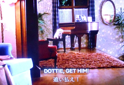 f:id:fpd:20210530093949j:plain