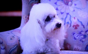 f:id:fpd:20210530094257j:plain