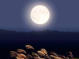 f:id:fpd:20210921094131j:plain