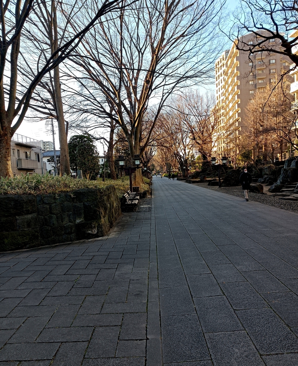 f:id:fpd:20220131205618j:plain