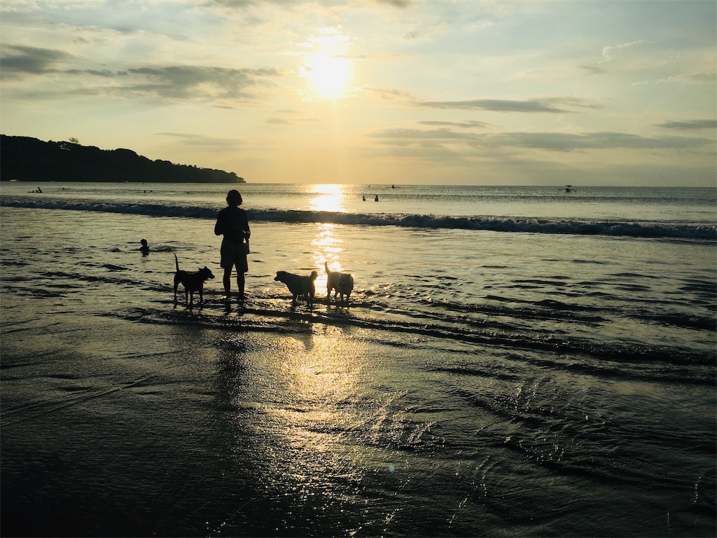 f:id:fpglobal:20190417223318j:image