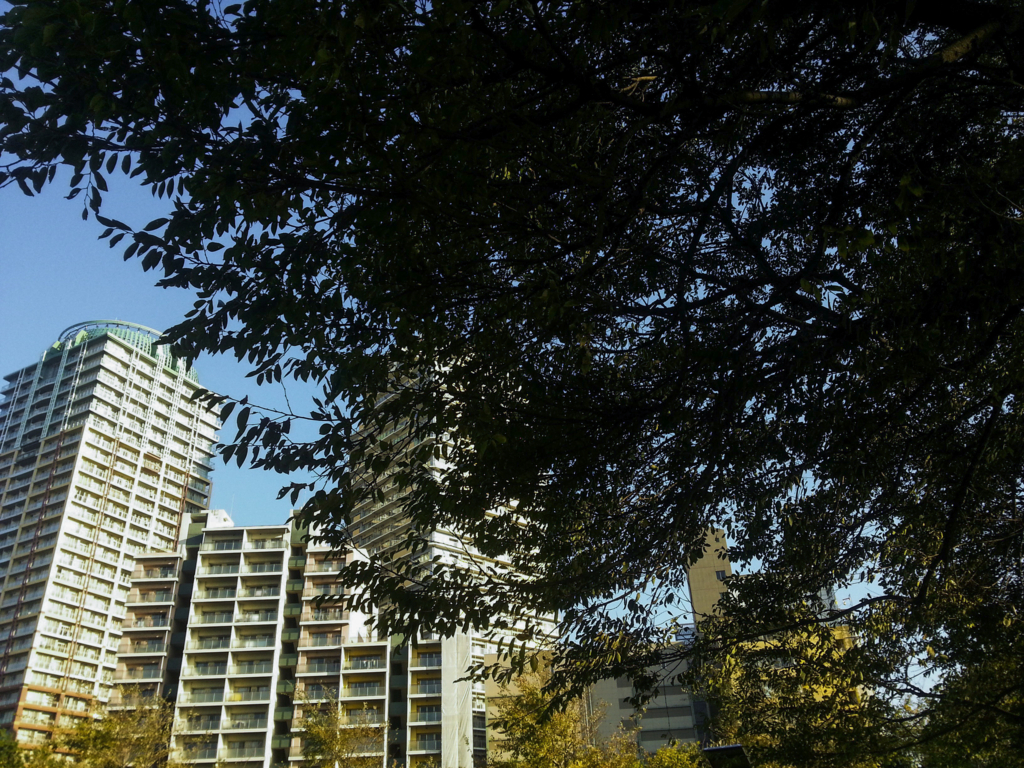 f:id:fphantom:20130824023722j:plain f:id:fphantom:20130824023722j:plain