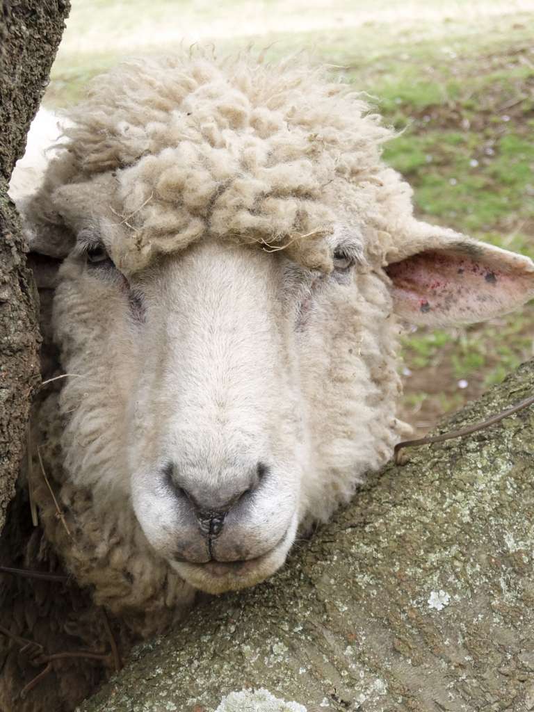 f:id:fphantom:20160411114058j:plain