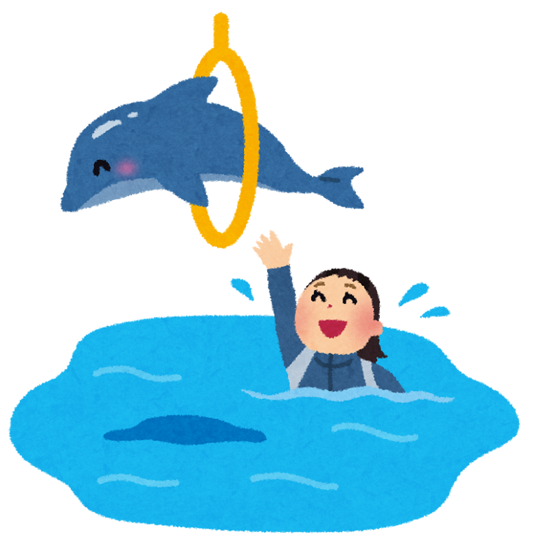 イルカショー イルカショー