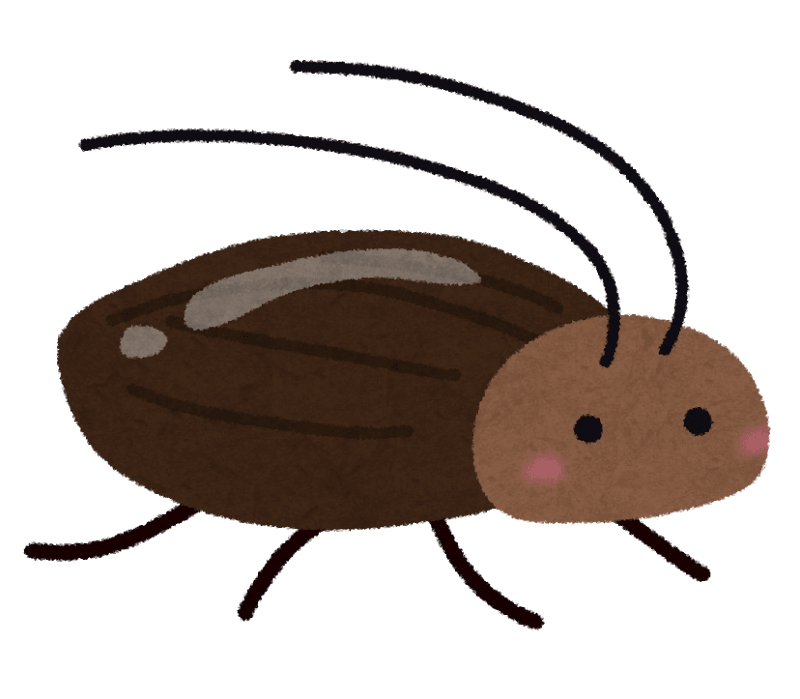 ゴキブリ ゴキブリ