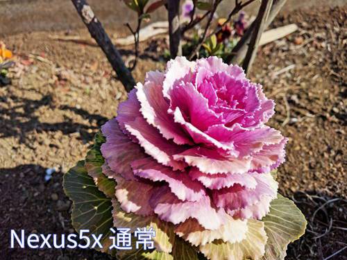 f:id:fphantom:20170123014538j:plain f:id:fphantom:20170123014538j:plain