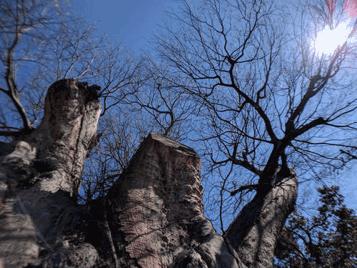 f:id:fphantom:20170123015240g:plain f:id:fphantom:20170123015240g:plain