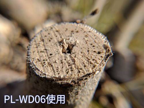 f:id:fphantom:20170123015539j:plain f:id:fphantom:20170123015539j:plain