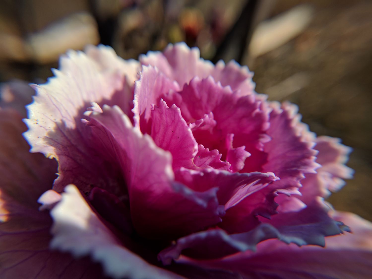 f:id:fphantom:20170123021110j:plain f:id:fphantom:20170123021110j:plain