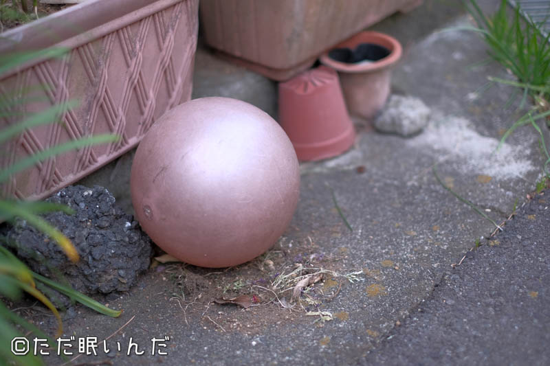 f:id:fphantom:20180402014321j:plain