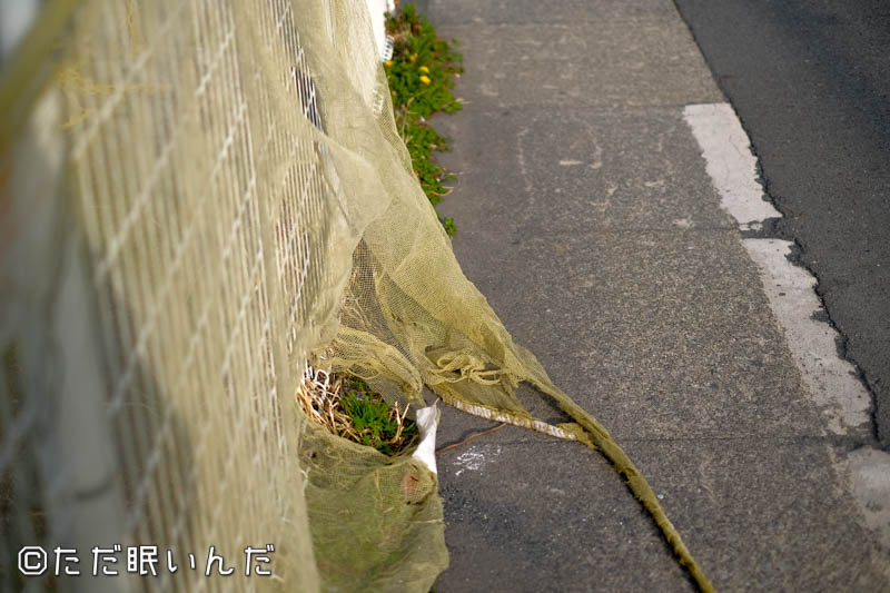 f:id:fphantom:20180402014328j:plain