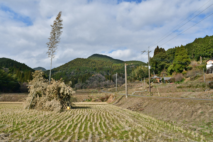 近場の鬼火焚き 竹の櫓を巡る 2026/01/04（鹿児島） - 花浄土鹿児島