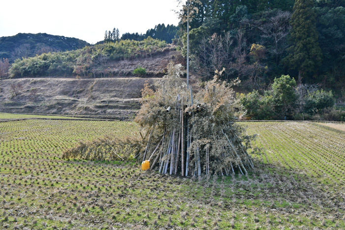 近場の鬼火焚き 竹の櫓を巡る 2026/01/04（鹿児島） - 花浄土鹿児島