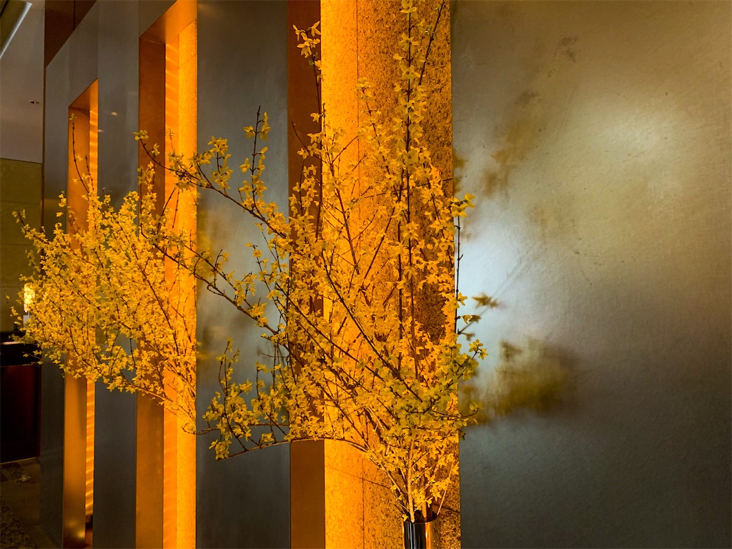 f:id:fpooh:20210314014058j:image f:id:fpooh:20210314014058j:image