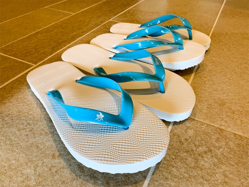 f:id:fpooh:20210626150418j:image