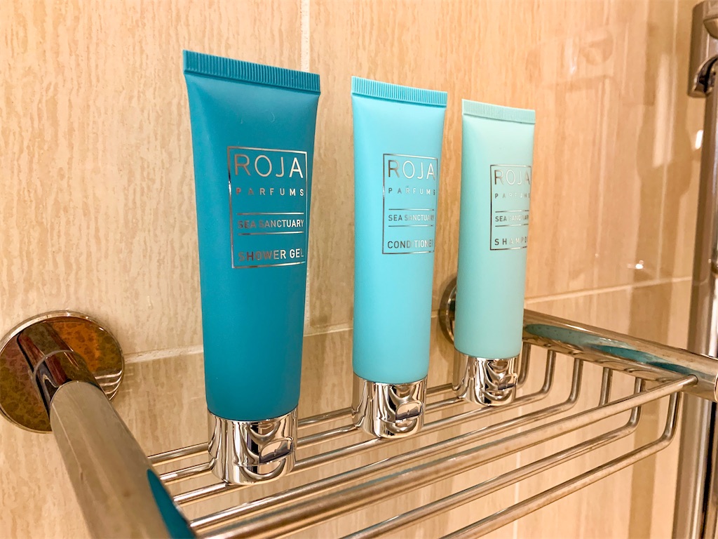 f:id:fpooh:20210626150439j:image