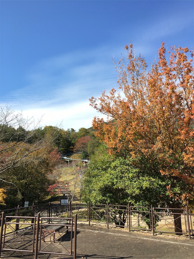 f:id:fpyakusyu1019:20191204115007j:image f:id:fpyakusyu1019:20191204115007j:image