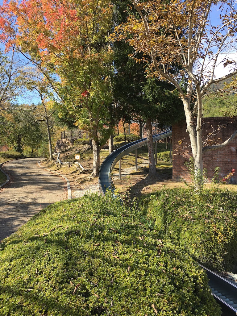 f:id:fpyakusyu1019:20191204115011j:image f:id:fpyakusyu1019:20191204115011j:image