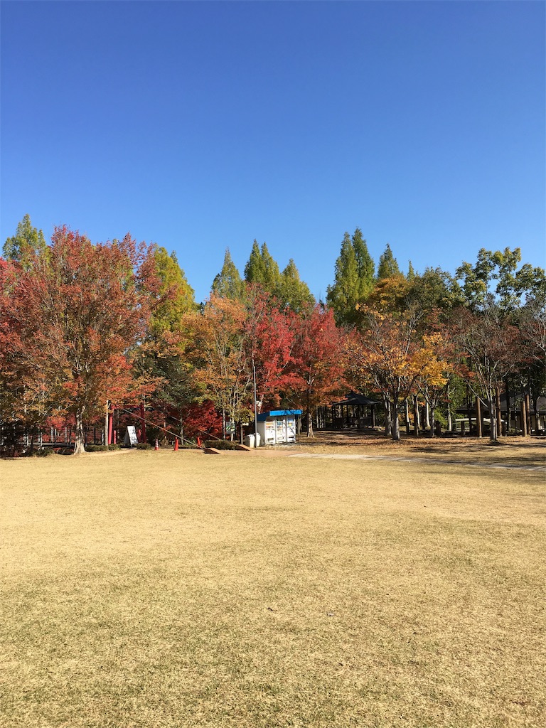 f:id:fpyakusyu1019:20191204115019j:image f:id:fpyakusyu1019:20191204115019j:image