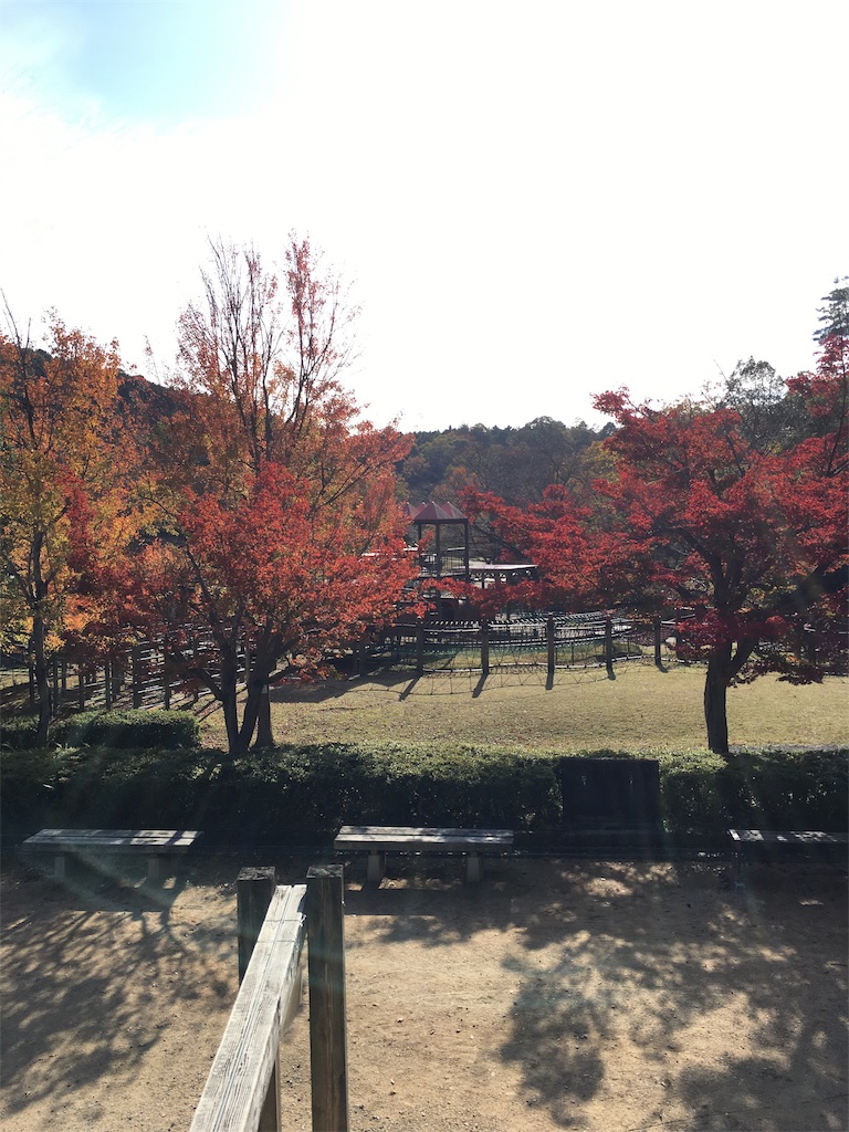 f:id:fpyakusyu1019:20191204115030j:image f:id:fpyakusyu1019:20191204115030j:image