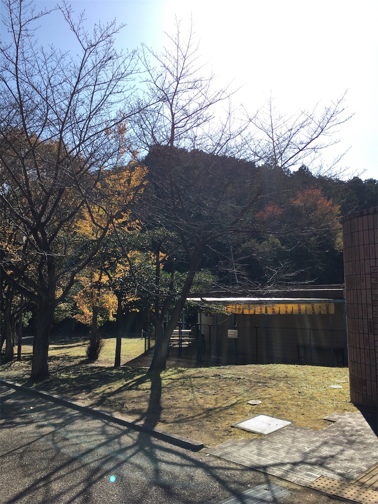 f:id:fpyakusyu1019:20191204115037j:image f:id:fpyakusyu1019:20191204115037j:image