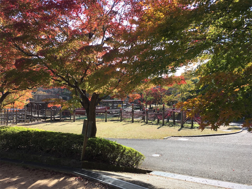f:id:fpyakusyu1019:20191204115042j:image f:id:fpyakusyu1019:20191204115042j:image