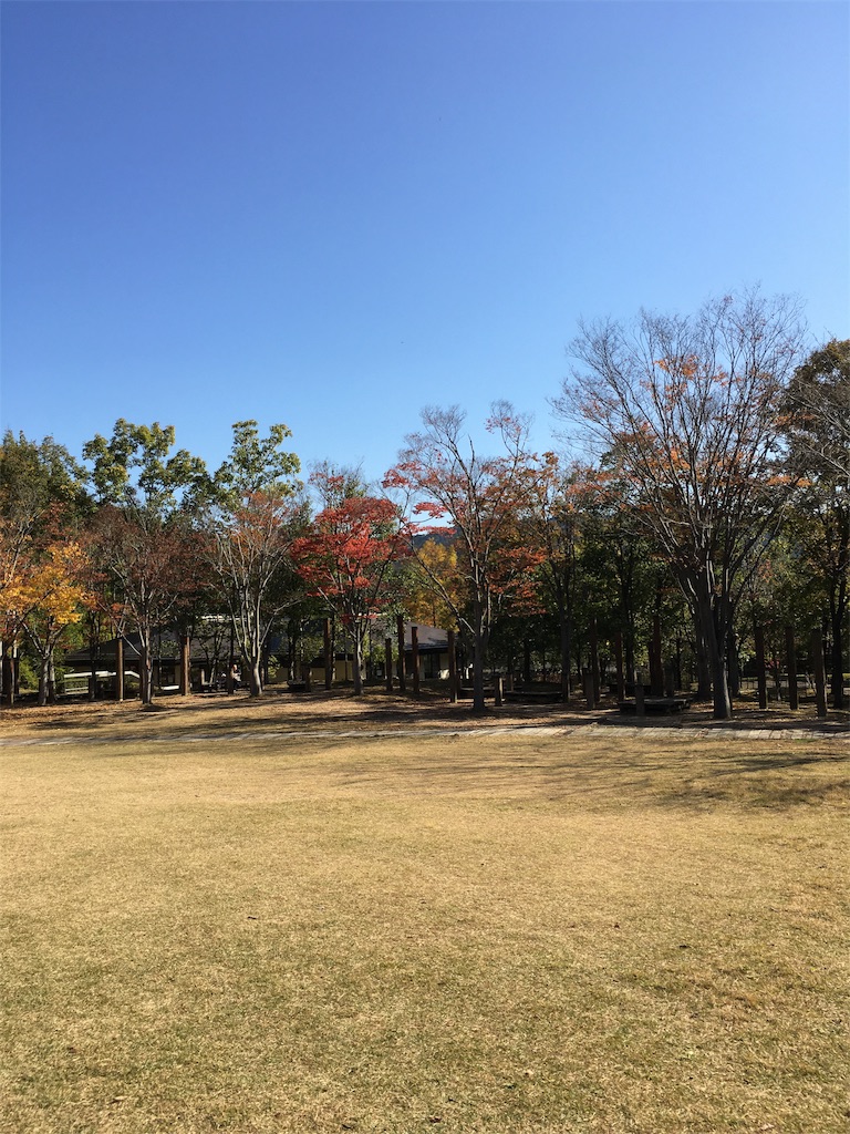 f:id:fpyakusyu1019:20191204115055j:image f:id:fpyakusyu1019:20191204115055j:image