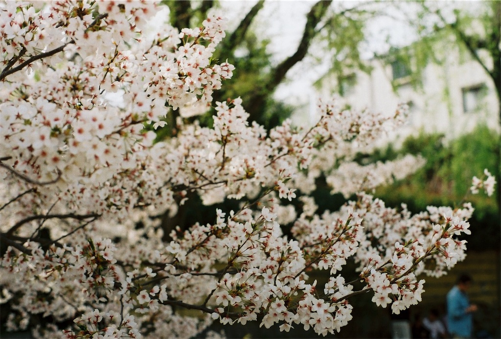 f:id:fragile_dominic:20180402081542j:image f:id:fragile_dominic:20180402081542j:image