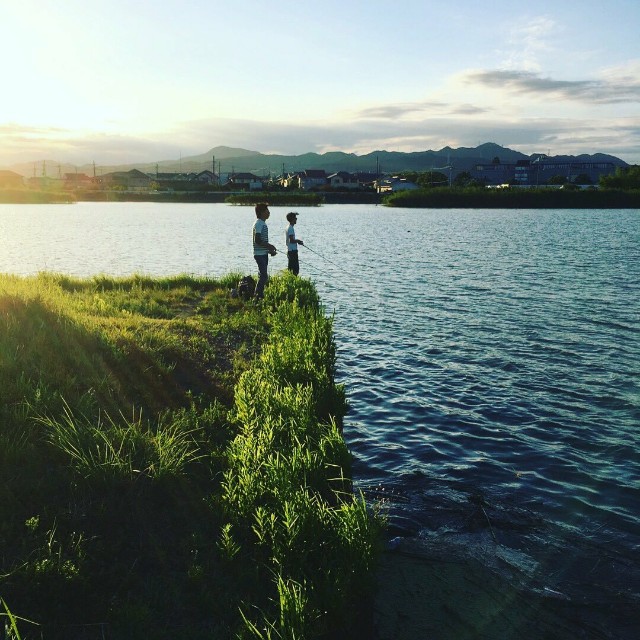 f:id:frakeino:20180405141641j:image