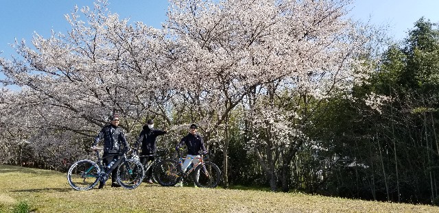 f:id:frakeino:20190410215954j:image