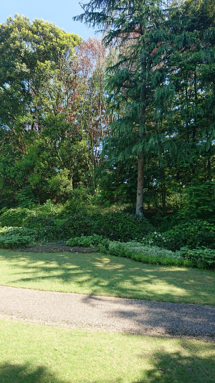 クレマチスの丘 ヴァンジ彫刻庭園美術館 Lediefaht S Record