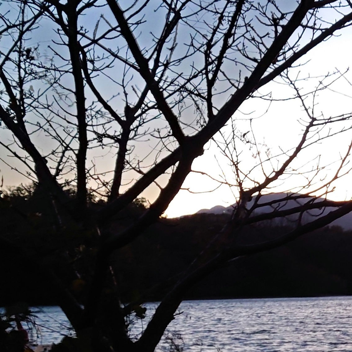 f:id:franca_LEDIEFAHT:20220621231614j:image f:id:franca_LEDIEFAHT:20220621231614j:image