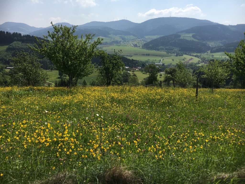 f:id:franceetmoi:20180508062119j:plain f:id:franceetmoi:20180508062119j:plain