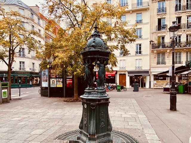 パリのベンチと椅子はなぜ緑色？その理由と歴史を解説 - フランス