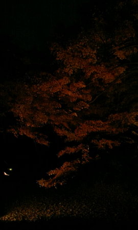 f:id:franken:20071209170904j:image