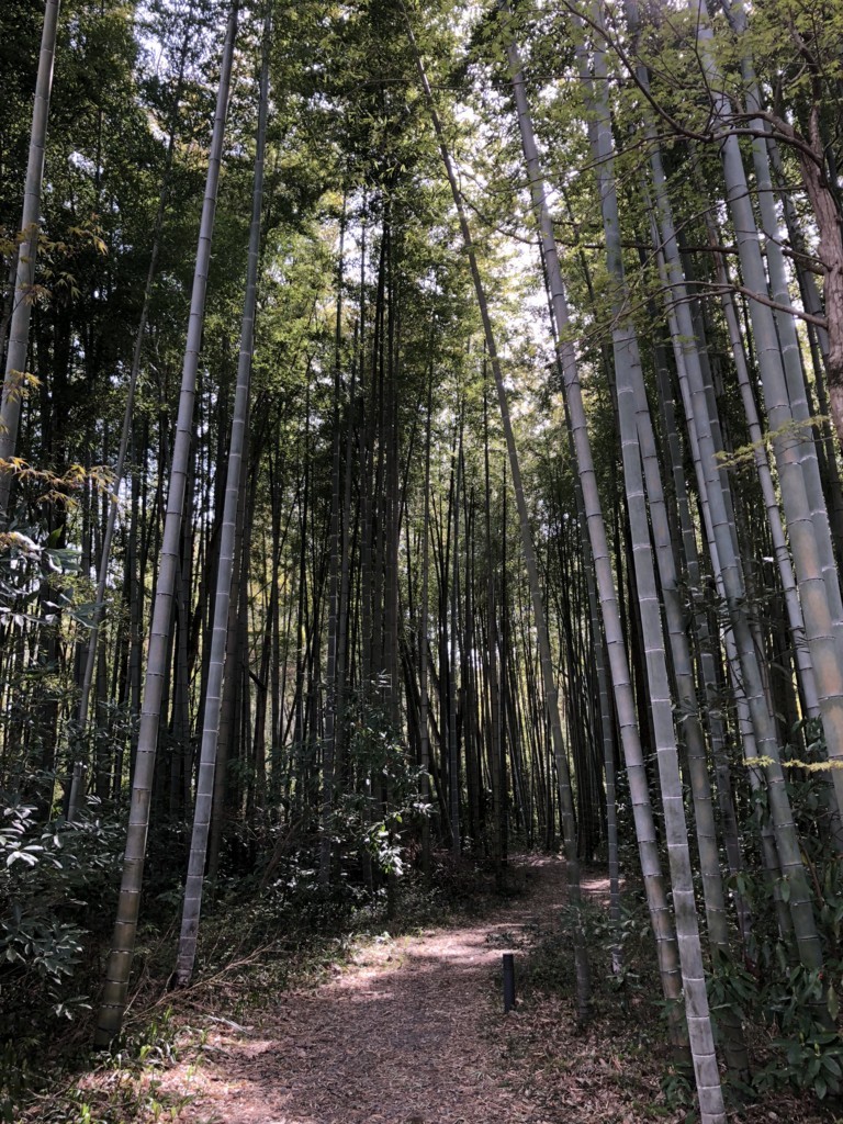 f:id:frankie-sakai:20180610163948j:plain f:id:frankie-sakai:20180610163948j:plain