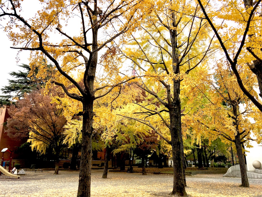 f:id:frankie17:20181203151628j:image