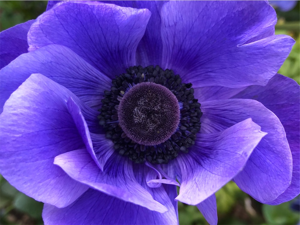 f:id:frankie17:20190610204514j:image