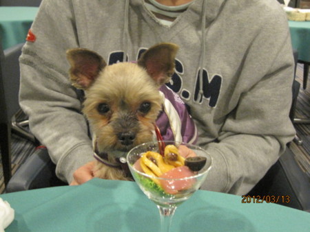 f:id:frankmama:20120313182705j:image