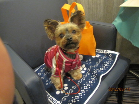 f:id:frankmama:20120313183225j:image