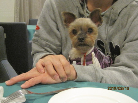 f:id:frankmama:20120313184810j:image